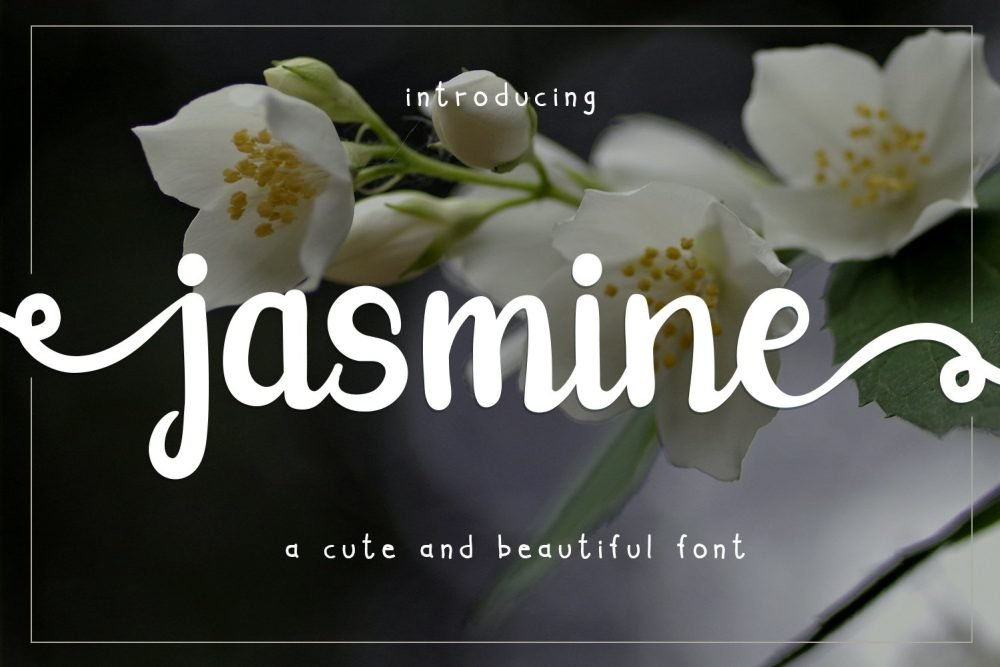 jasmine cute font