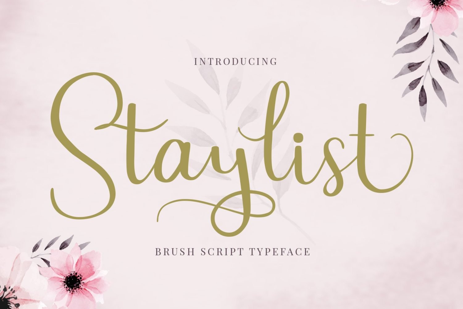 staylist-script-font-preview