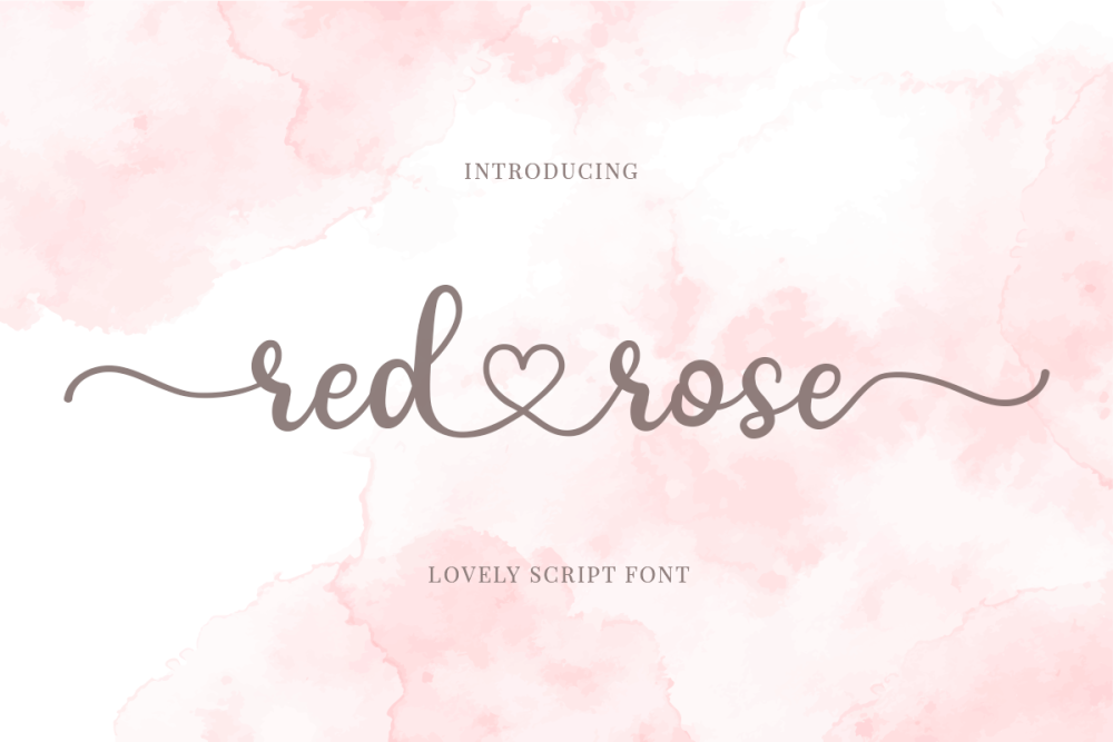 red rose romantic script font